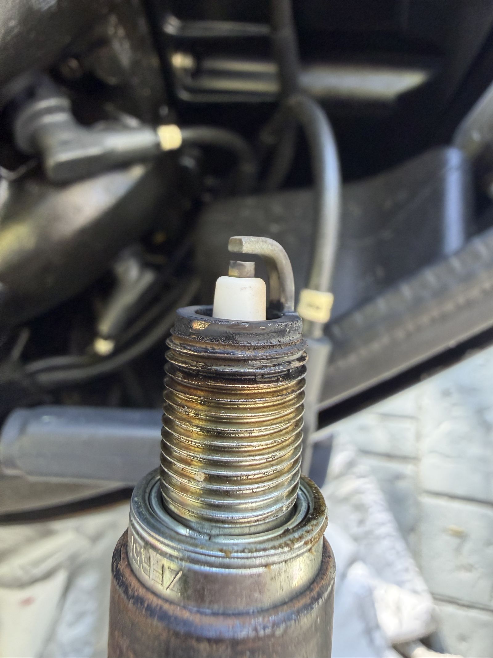 Spark plug inspection during a Gold Coast pre-purchase boat inspection